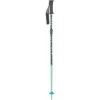 K2 Sprout Ski Pole - Boy's