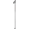 Salomon Escape Cross-Country Ski Poles