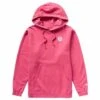 Neff Journey Pullover Hoodie - 2022 Model