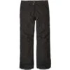 Patagonia Insulated Powder Bowl Pant - Men's