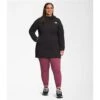 The North Face Plus Belleview Stretch Down Parka - Women's