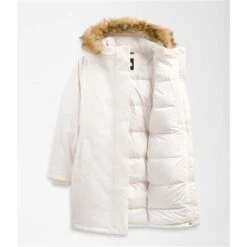 The North Face Plus Arctic Parka - Women's