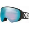 Oakley Prizm Flight Path XL Goggle