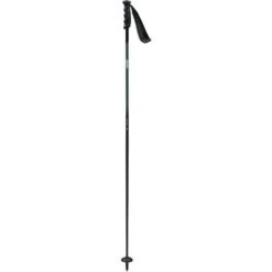 Swix Excalibur Ski Poles