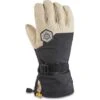Dakine Team Phoenix Gore-Tex Glove - Men's